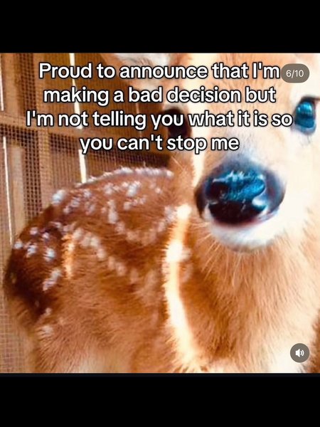 Thumbnail of p-dq7noflenpv-f43365b7906e490e 4