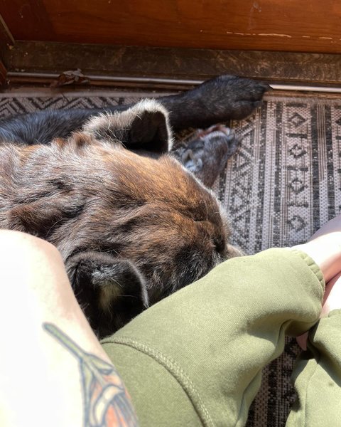 Thumbnail of p-c15bjzept4k-f450314d56f44080 4