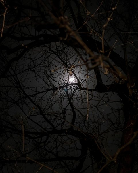 Thumbnail of p-c15bjzept4k-f450314d56f44080 5