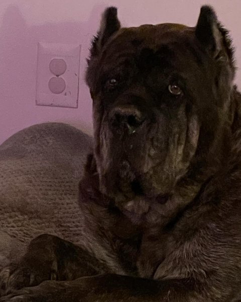 Thumbnail of p-c15bjzept4k-f450314d56f44080 9