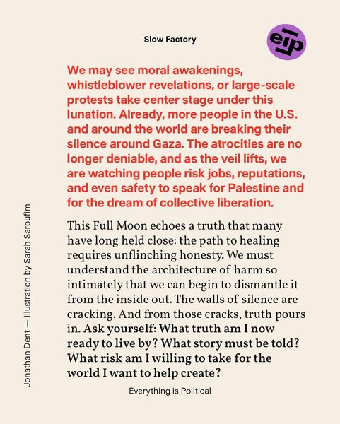 Thumbnail of p-dk97jbquq47-f46559c7fa8849d5 2