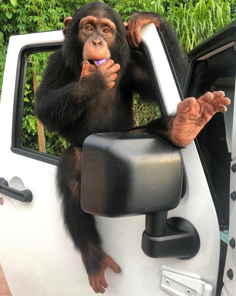 Thumbnail of p-b2he8uadjd-f4cd3c2509aa4e6c 0