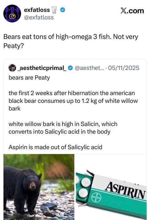 Thumbnail of www-x-com-celestialbe1ng-status-1988923659084296410-f4f13bfe5a05486f