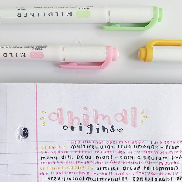 Thumbnail of p-catgzltajga-f51f970d3a6c49ff 0