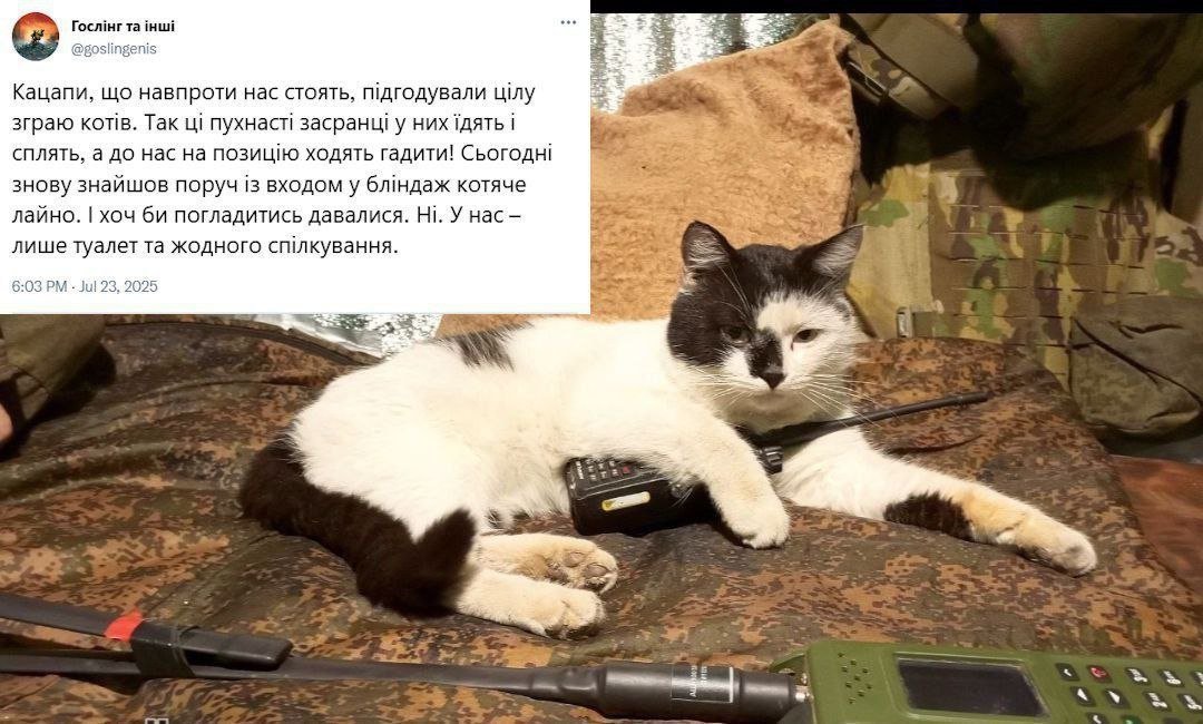 Thumbnail of www-x-com-olgabazova-status-1949756898577662205-f52b69285f8a4415