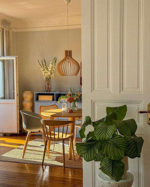 Thumbnail of p-dekbazemb0i-f58cf9afc0424126 7