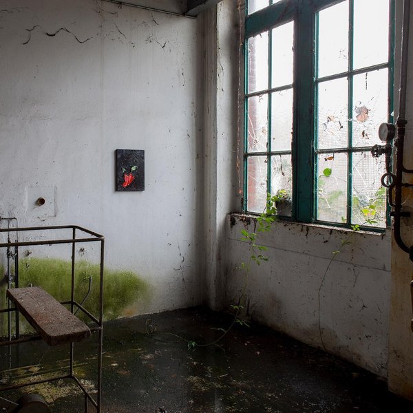 Thumbnail of b8x09dff-5d-f595437b1e6246ad 6