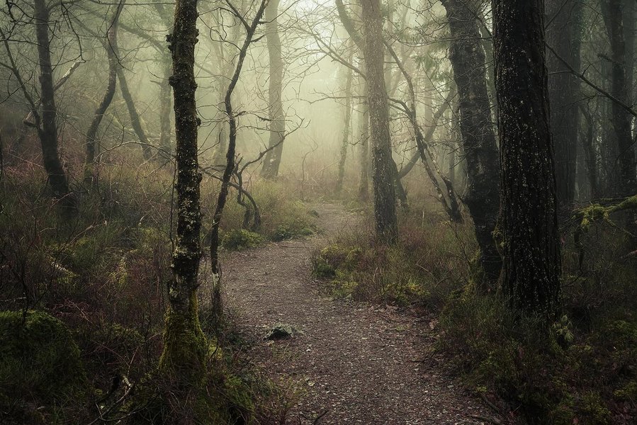 Thumbnail of p-c2uy6hjovwj-f596fa95b29247ba 0