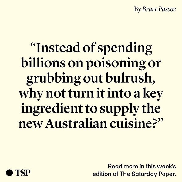 Thumbnail of p-cmdxjgjj52t-f5cd258894004d45 6