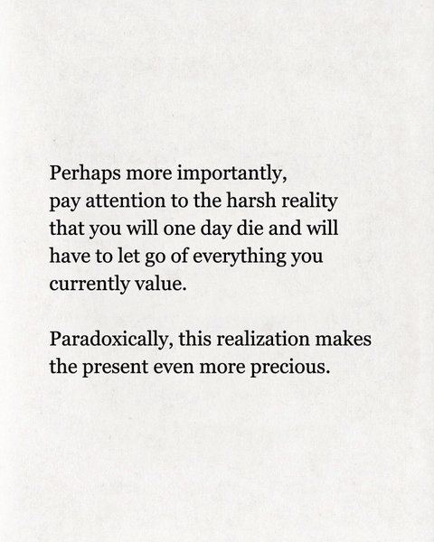 Thumbnail of b5yvkkrb-qm-f5cddfdcfec2495e 8