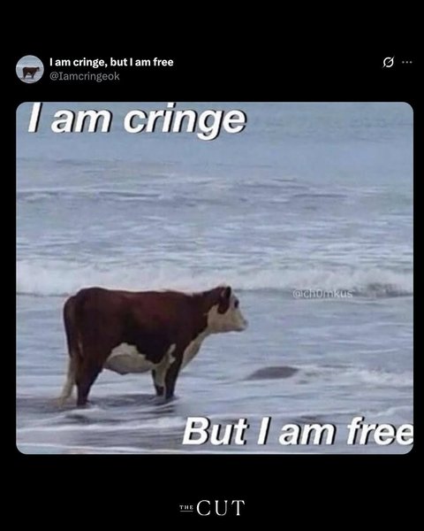 Thumbnail of www-instagram-com-p-dquqji9dzja-img-index-5 0