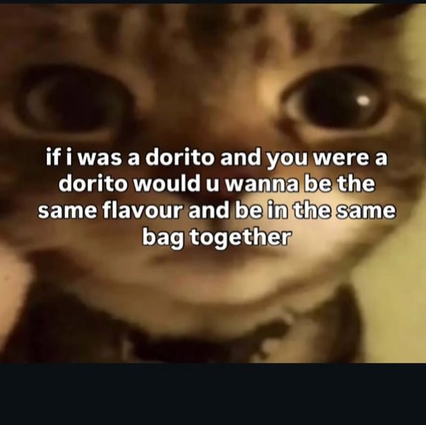 Thumbnail of www-instagram-com-p-dpxeslhks7b 15