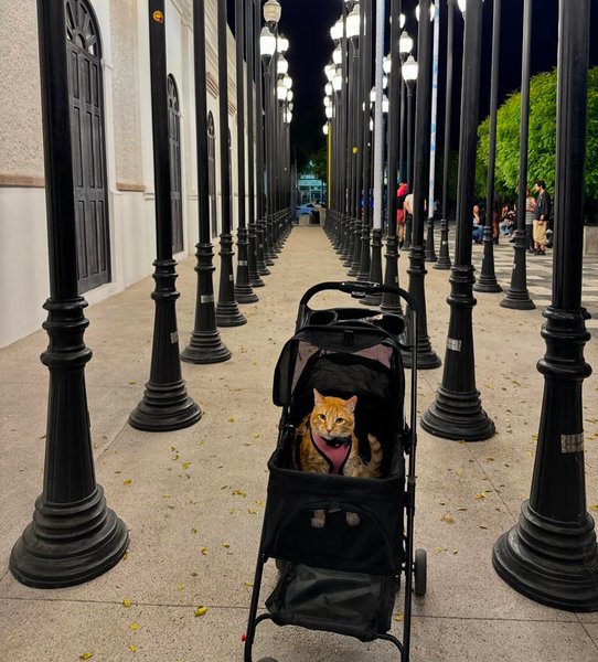 Thumbnail of c6crf-bvbxq-f63378fe0466421d 0