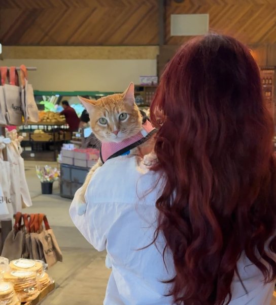 Thumbnail of c6crf-bvbxq-f63378fe0466421d 2