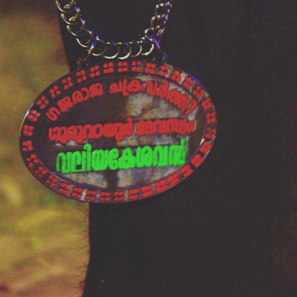 Thumbnail of p-bfafbv6lfra-f661ea5a1f414dae 0