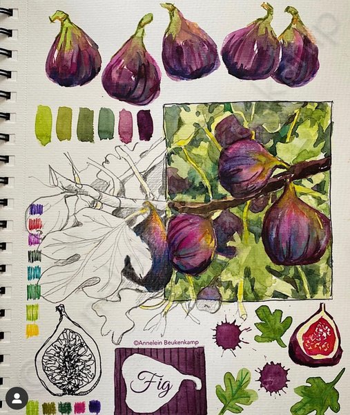 Thumbnail of p-cf72rm0h2o2-f6973f0fac8c4800 1