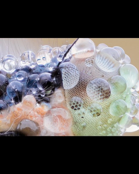 Thumbnail of dfnwgxsj-ii-f6d00854473b4f7a 5