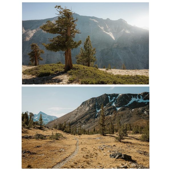 Thumbnail of p-c5wavyiu7id-f6f30d066c424c46 1