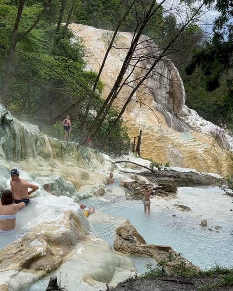 Thumbnail of p-ctpsj0fjhpl-f7095e31a83d4120 1