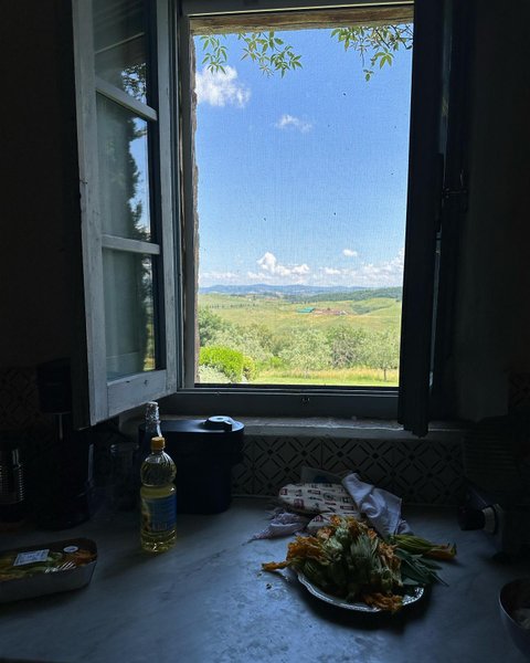 Thumbnail of p-ctpsj0fjhpl-f7095e31a83d4120 4