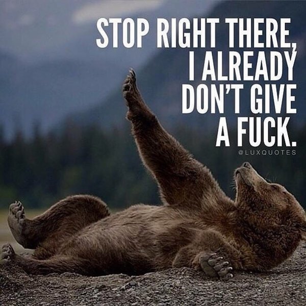 Thumbnail of p-bj2kdpcl6tn-f70c33ddada94e6b 0