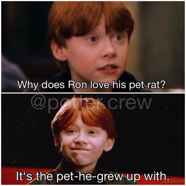 Thumbnail of p-bwxckzfgxxy-f722138ff60443f3 3