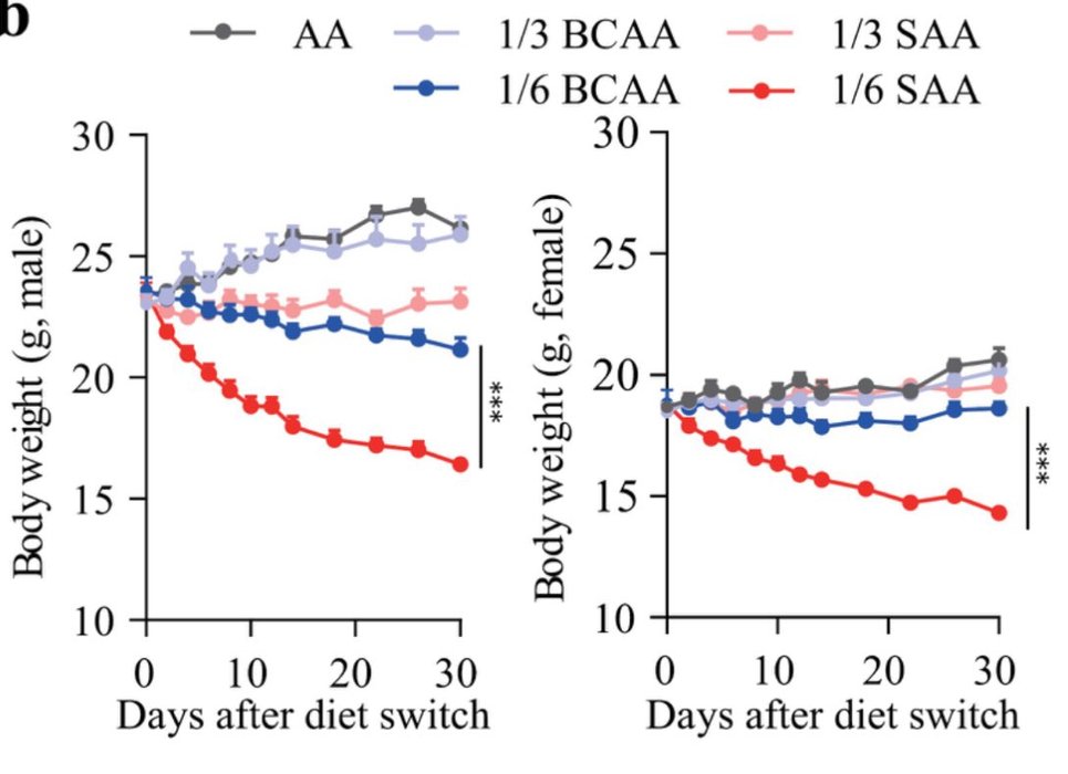 Thumbnail of www-x-com-markeatsmeat-status-1934620380179702108-f7413c30cbb4403f