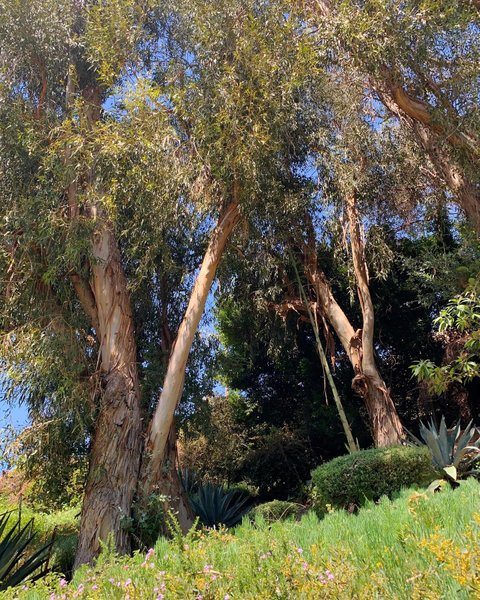 Thumbnail of p-c5oyygrsjxi-f744626ff09f4fcc 8