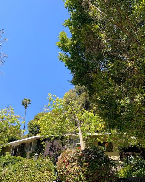 Thumbnail of p-c5oyygrsjxi-f744626ff09f4fcc 9