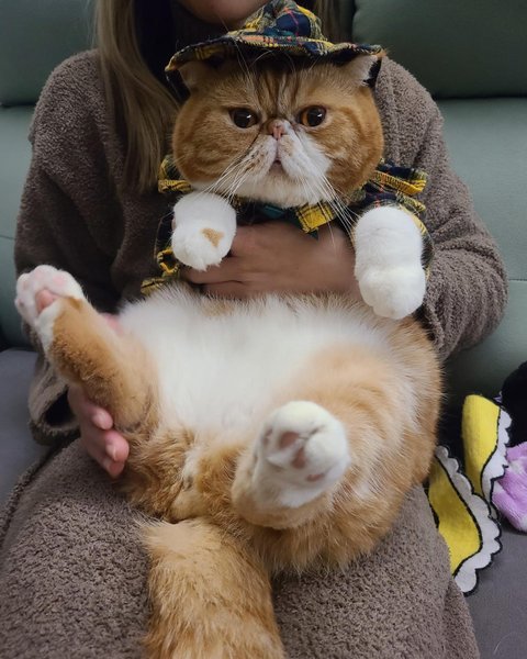 Thumbnail of p-cygi71epd1e-f75cb7c919a04e79 0