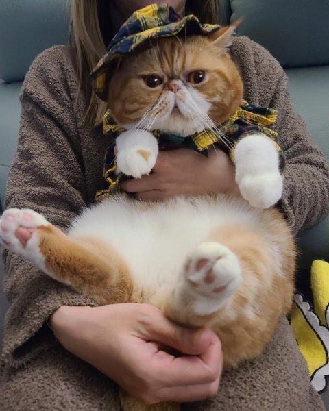 Thumbnail of p-cygi71epd1e-f75cb7c919a04e79 1