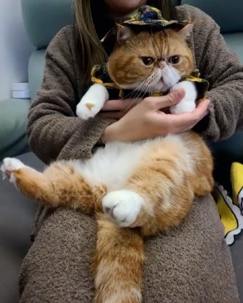 Thumbnail of p-cygi71epd1e-f75cb7c919a04e79 2