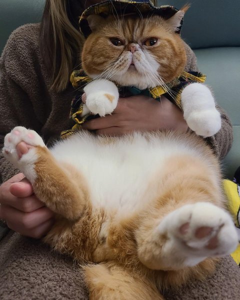 Thumbnail of p-cygi71epd1e-f75cb7c919a04e79 4