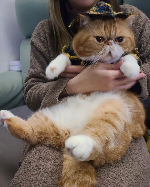 Thumbnail of p-cygi71epd1e-f75cb7c919a04e79 5