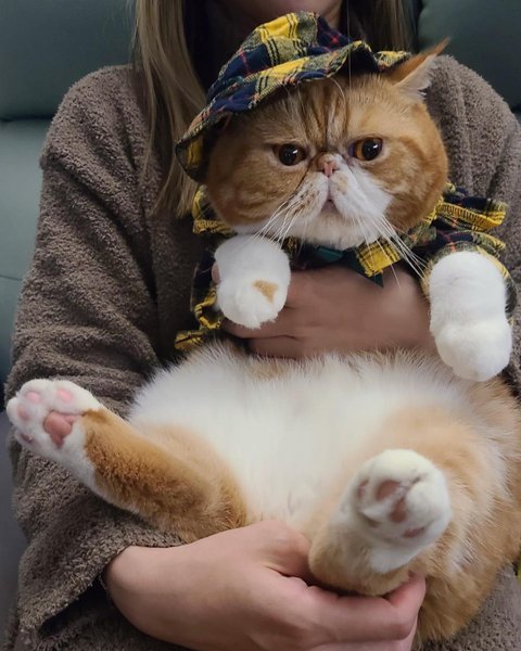 Thumbnail of p-cygi71epd1e-f75cb7c919a04e79 6