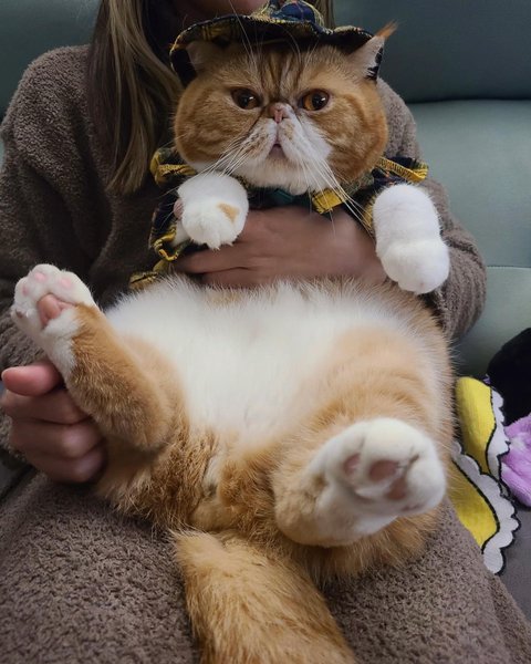 Thumbnail of p-cygi71epd1e-f75cb7c919a04e79 7