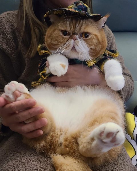 Thumbnail of p-cygi71epd1e-f75cb7c919a04e79 8