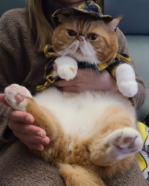 Thumbnail of p-cygi71epd1e-f75cb7c919a04e79 9