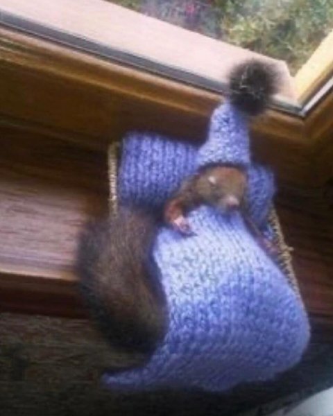 Thumbnail of p-czpajqjvyez-f778fa08709a4096 0