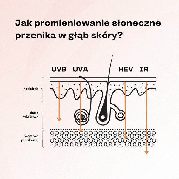 Thumbnail of p-ctvrpogowi4-f796d7fcfc6b4963 1