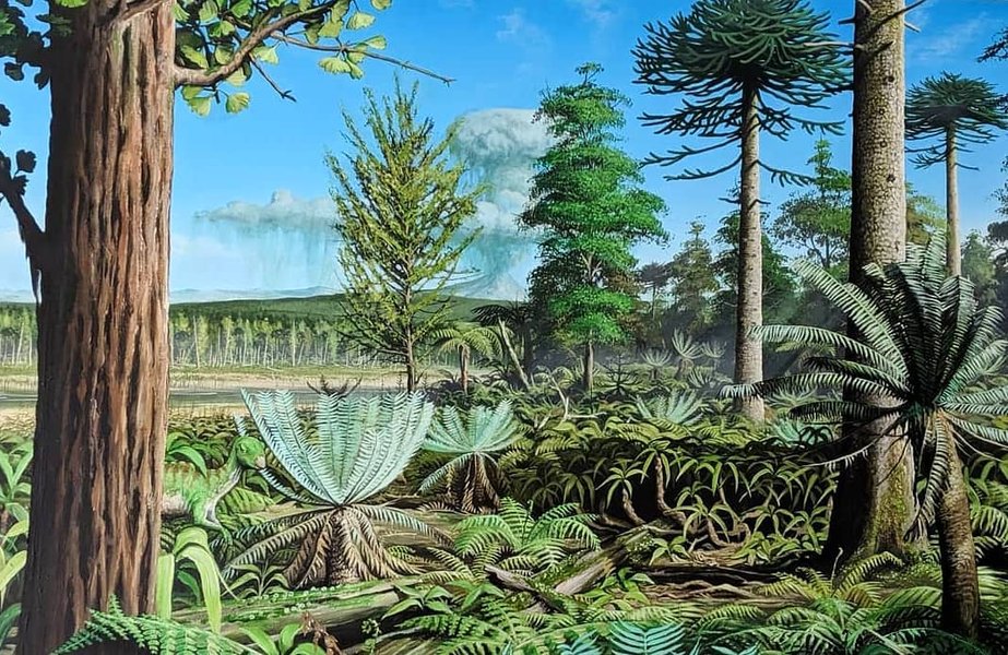 Thumbnail of b1wdo9rbd-g-f7bf1c2163a841b9 1