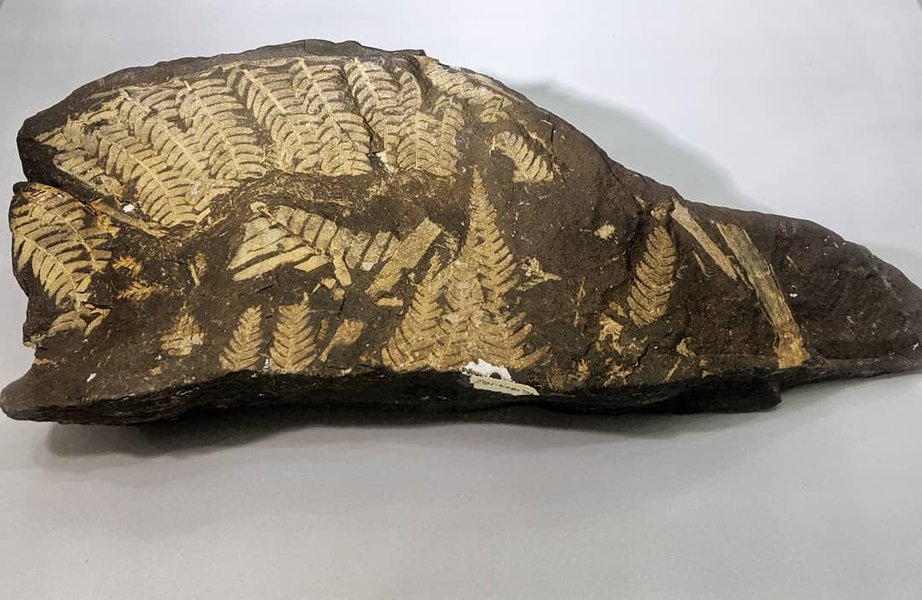 Thumbnail of b1wdo9rbd-g-f7bf1c2163a841b9 3