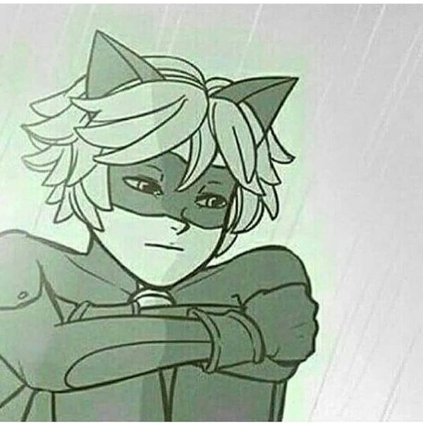 Thumbnail of p-bojist4lsst-f7c07759884b4022 0