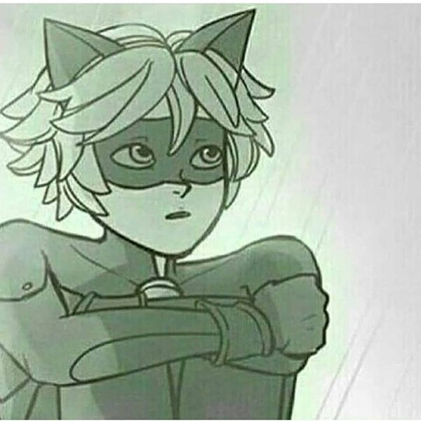 Thumbnail of p-bojist4lsst-f7c07759884b4022 1