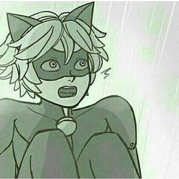 Thumbnail of p-bojist4lsst-f7c07759884b4022 3