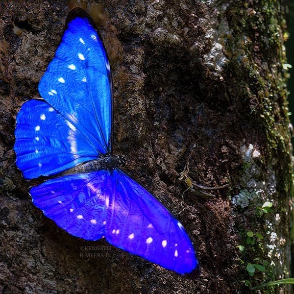 Thumbnail of p-cvfevpuuzb0-f7d758a867c54f5a 0