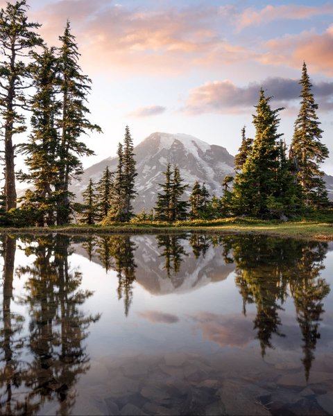 Thumbnail of p-cykbjcmpsij-f836944343034d04 1