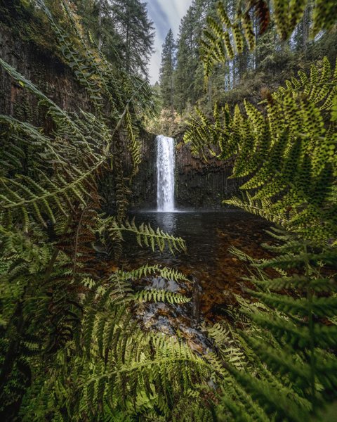 Thumbnail of p-cykbjcmpsij-f836944343034d04 8