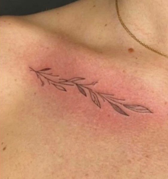 Thumbnail of p-czhvxm1oxlc-f85e9e23f00d4e69 4