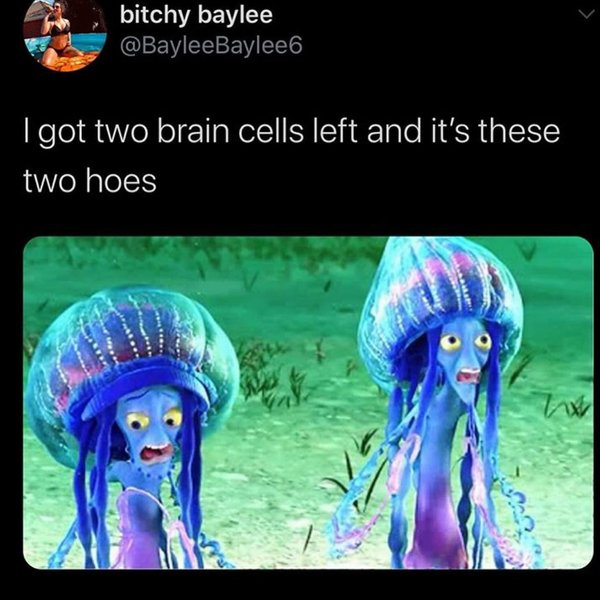 Thumbnail of p-cctcmdufwn2-f8b382289bfd497d 0